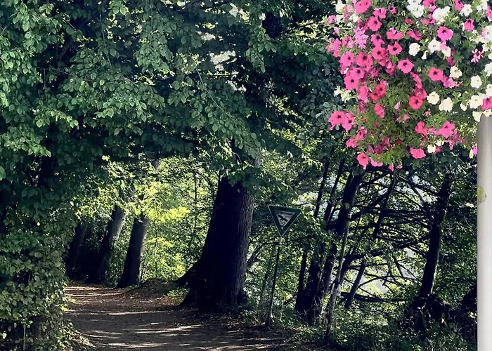 Lejlighed Panoramablick Ueber Den *